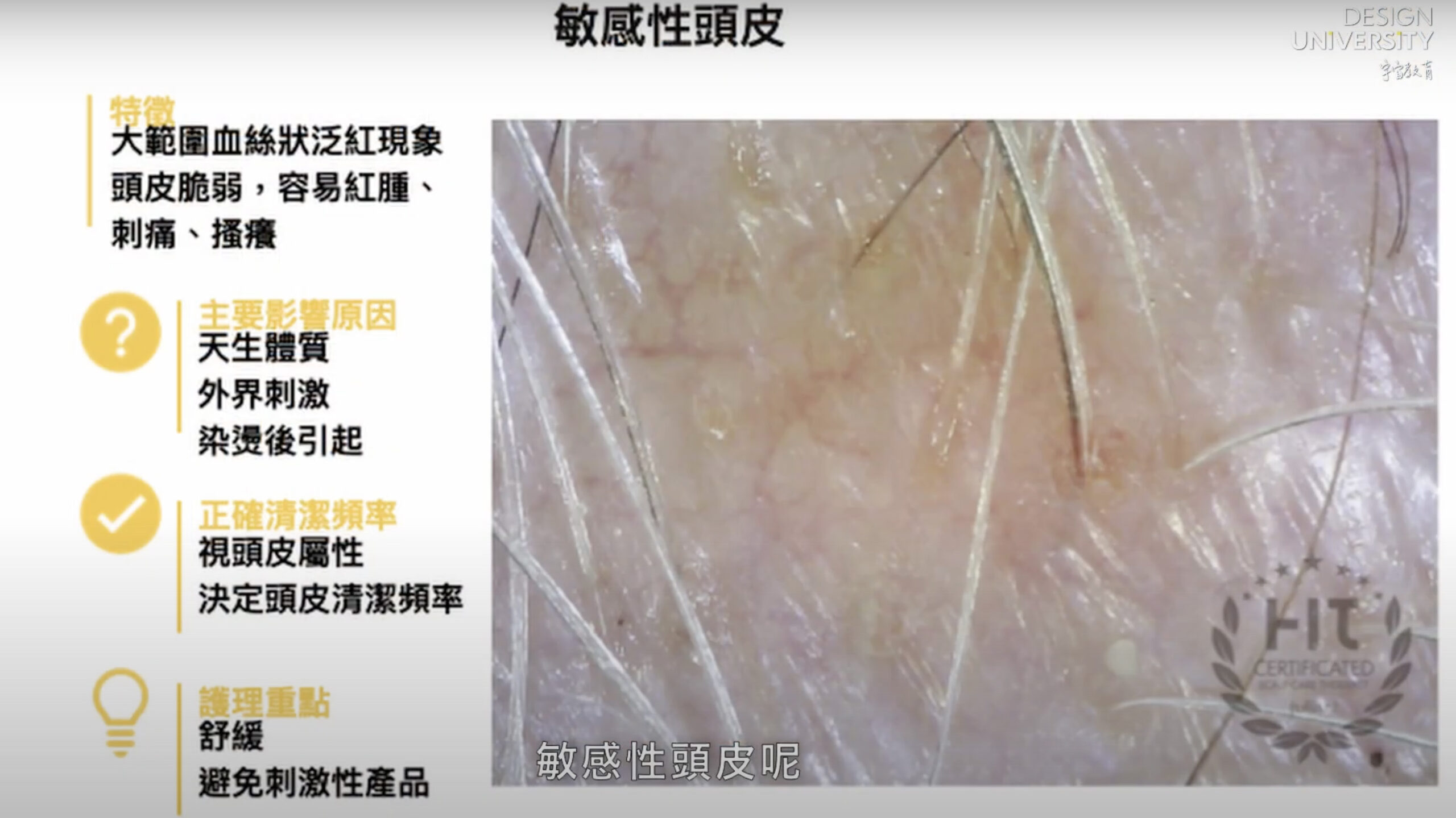 BlockNote image